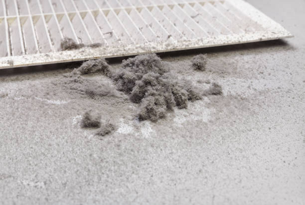 Best Best Air Duct Cleaning Near Me  in Advance, MO