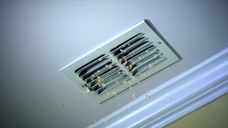 Best Air Duct Cleaning Near Me  in Advance, MO